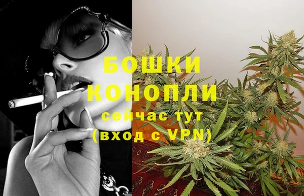 спиды Аркадак