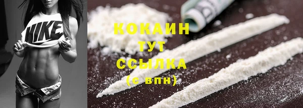 спиды Аркадак