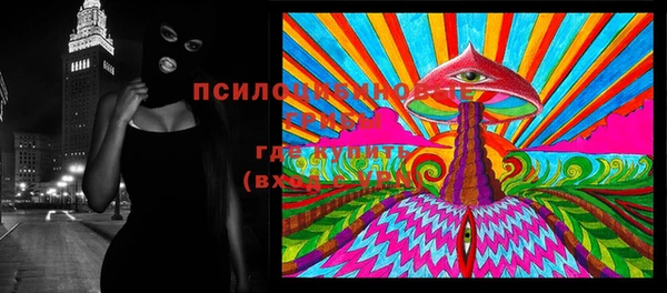 PSILOCYBIN Армянск