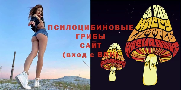 МДПВ Арсеньев