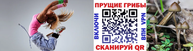 Галлюциногенные грибы ЛСД  Сельцо 